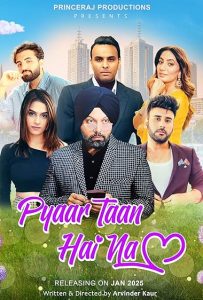 Poster of Pyaar Taan Hai Na Movie